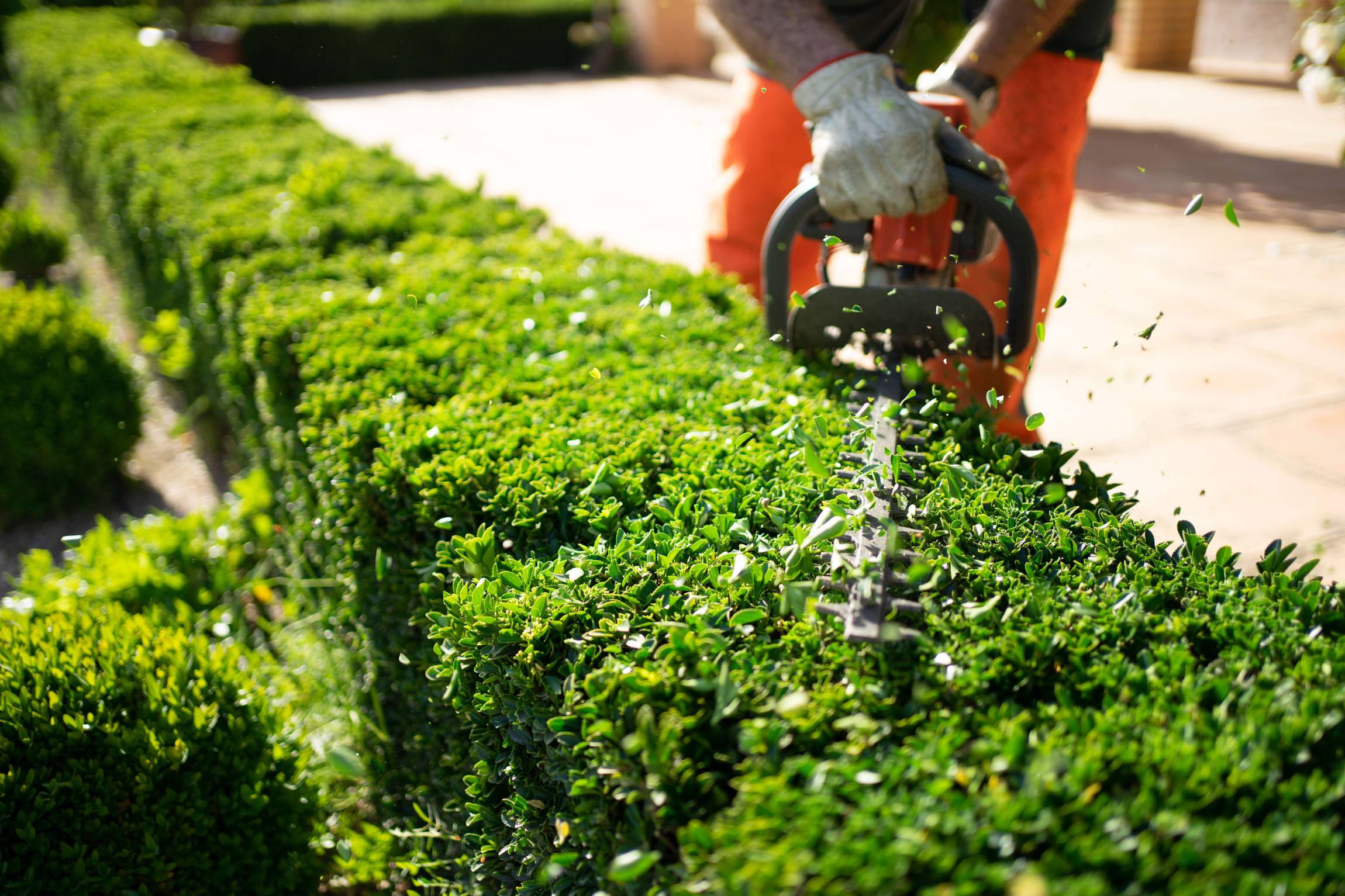 entretien de jardin