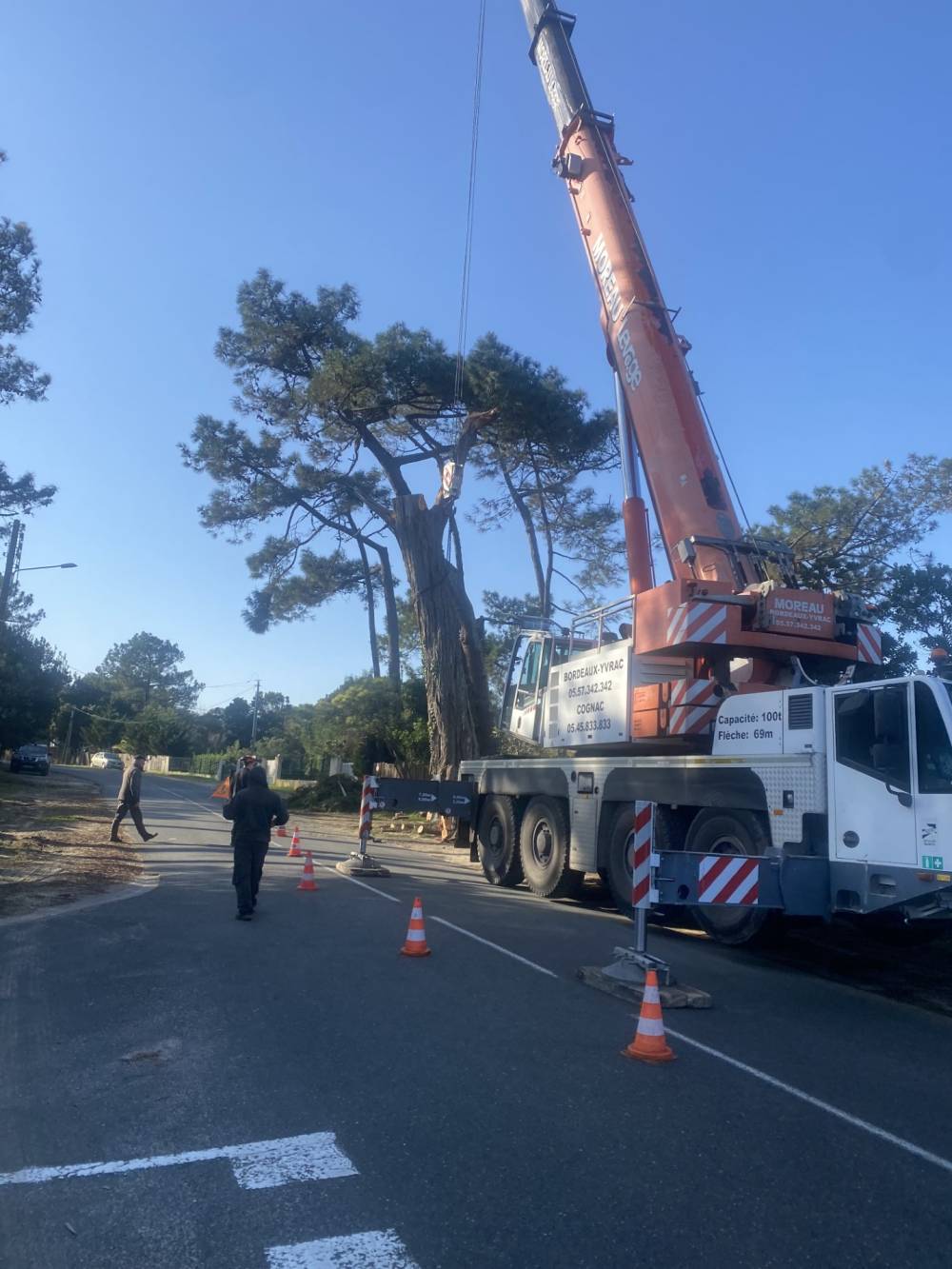 camion grue élagage 1