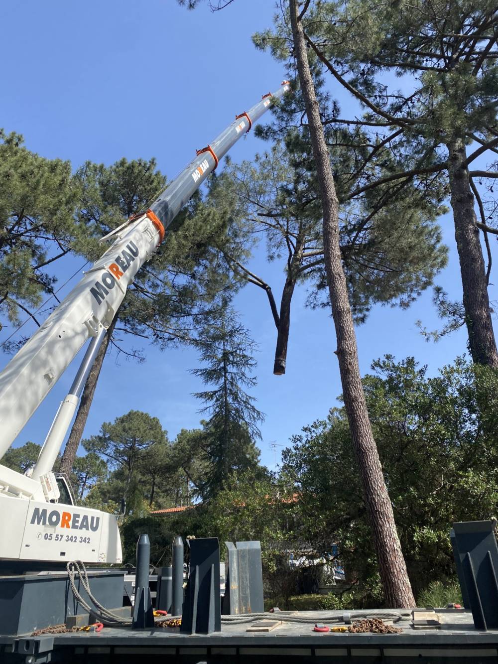 camion grue élagage 2